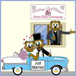 Drive Thru Wedding Ceremony At Wedding Bell Chapel Pigeon Forge